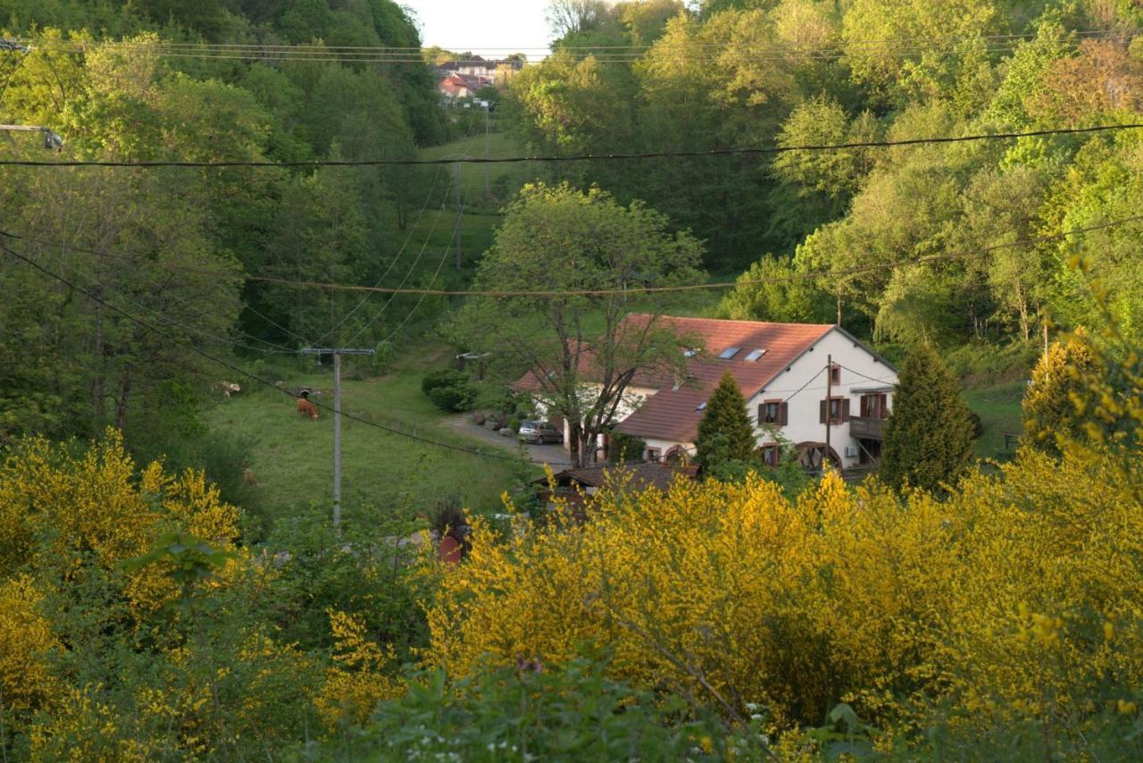 Vacance Conviviales Dans Les Vosges 8 Gites Ban-de-Sapt Ngoại thất bức ảnh