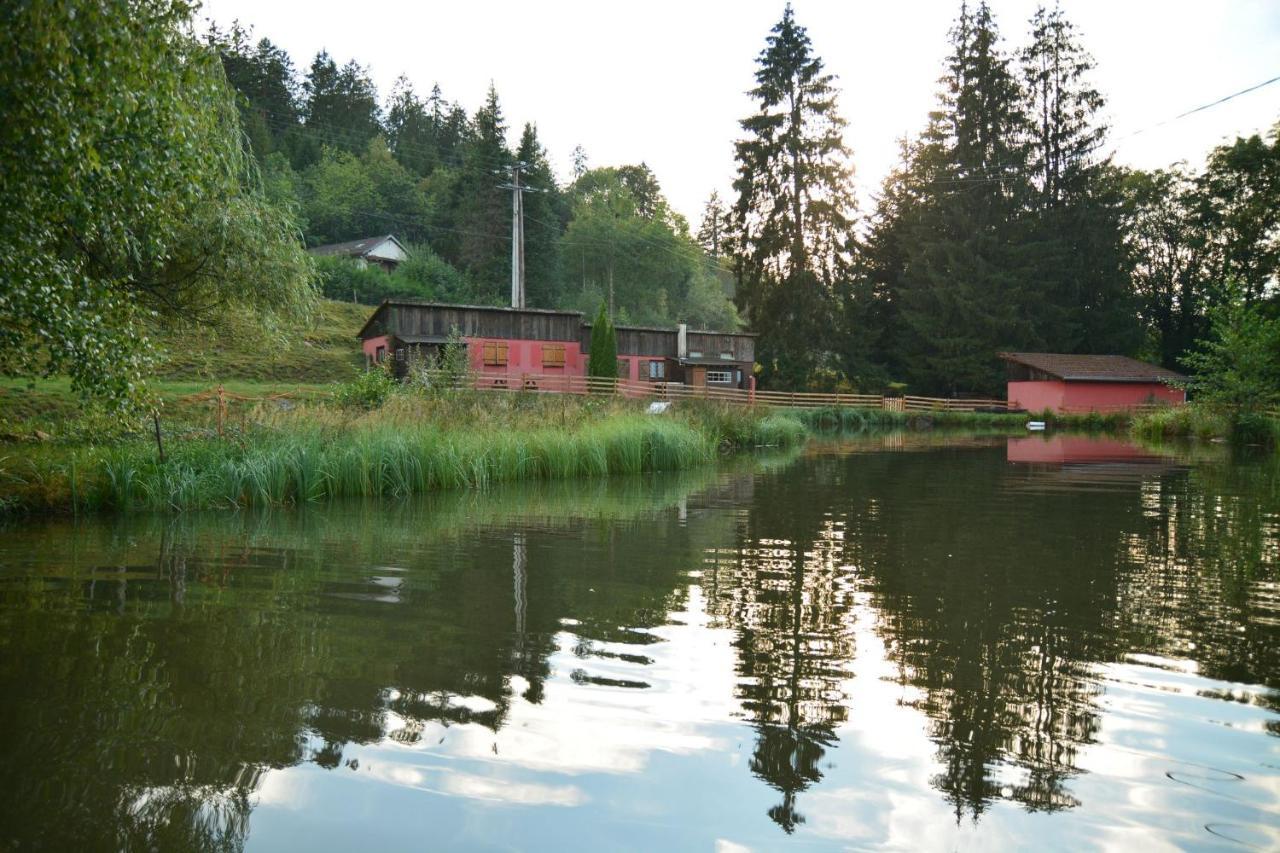 Vacance Conviviales Dans Les Vosges 8 Gites Ban-de-Sapt Ngoại thất bức ảnh