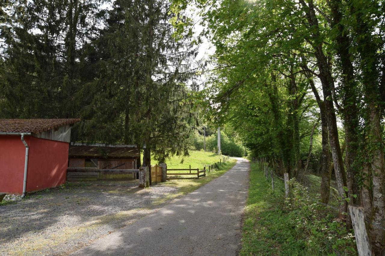 Vacance Conviviales Dans Les Vosges 8 Gites Ban-de-Sapt Ngoại thất bức ảnh