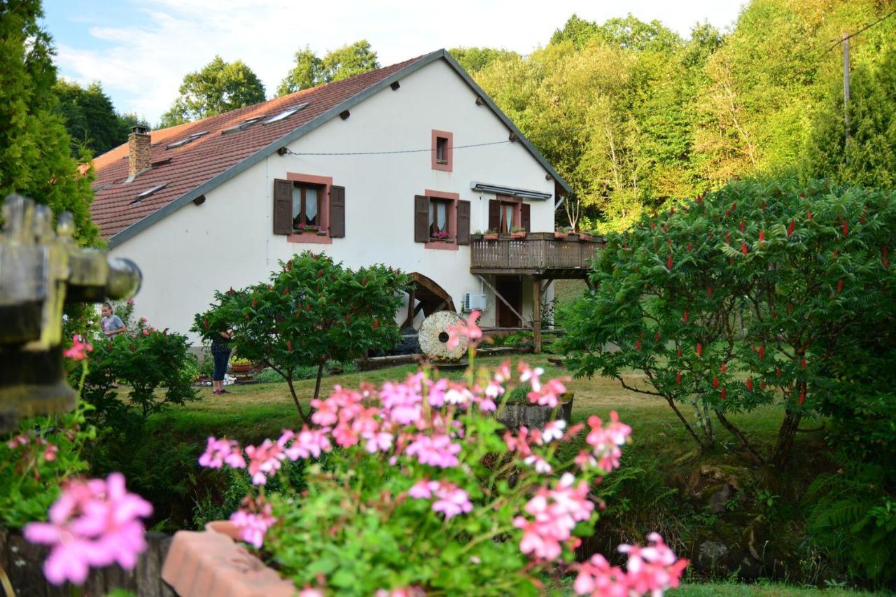 Vacance Conviviales Dans Les Vosges 8 Gites Ban-de-Sapt Ngoại thất bức ảnh